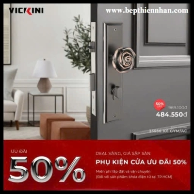 Khóa cửa nẹp VICKINI 35556.101 GYM-AC